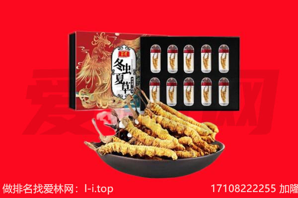 成都市双流回收虫草.jpg